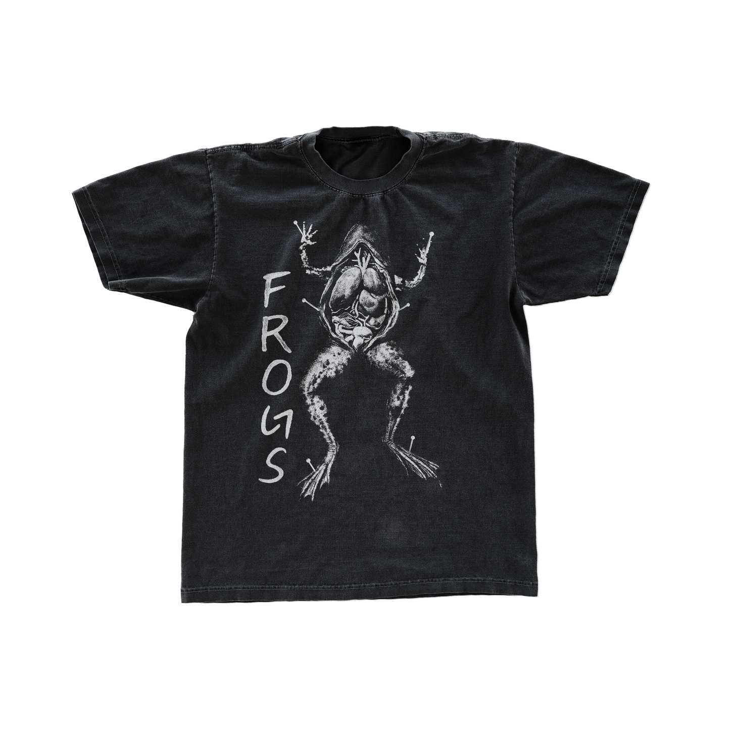 Frogs - WHOLESALE ORDER (30)